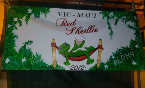 VM2012 Red Sheilla Finish
